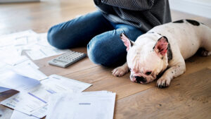 Lifetime Cost of Owning a Dog